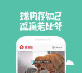 ٶȞg[ V6.1.13.0 ׿