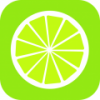 C V6.1.66 ׿