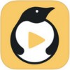 Zֱ V1.0 IOS