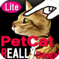 I؈-|ʽ3D؈  M-Bengal Petting cat lite V3.6